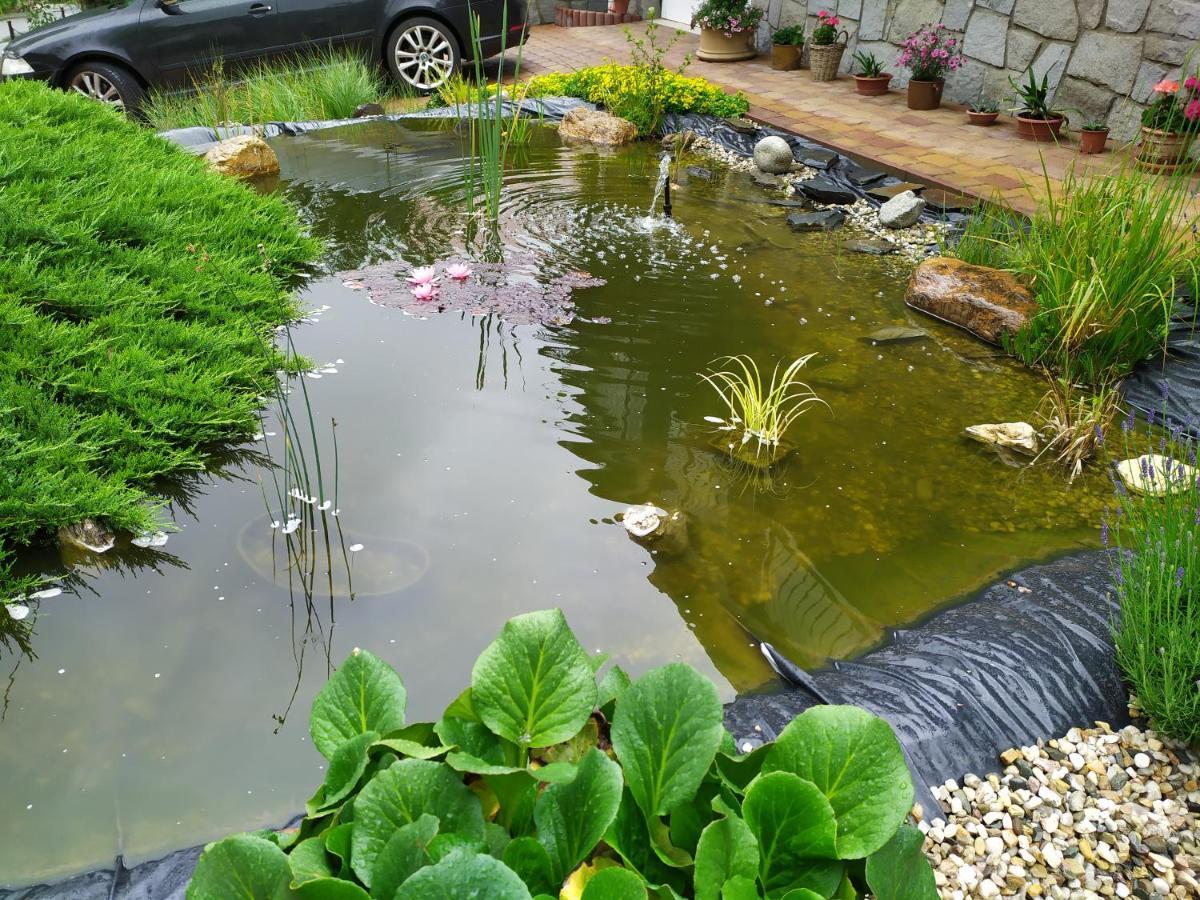 Ubytovani Iris Dolany  Ngoại thất bức ảnh